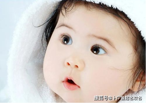 起個有品質又高雅的好名字,讓寶寶一生受益