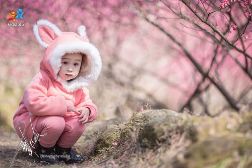 拍娃黨 kidsfoto 微信公眾號 ikidsfoto 楓糖盒子 兒童攝影 兒童攝影 修圖